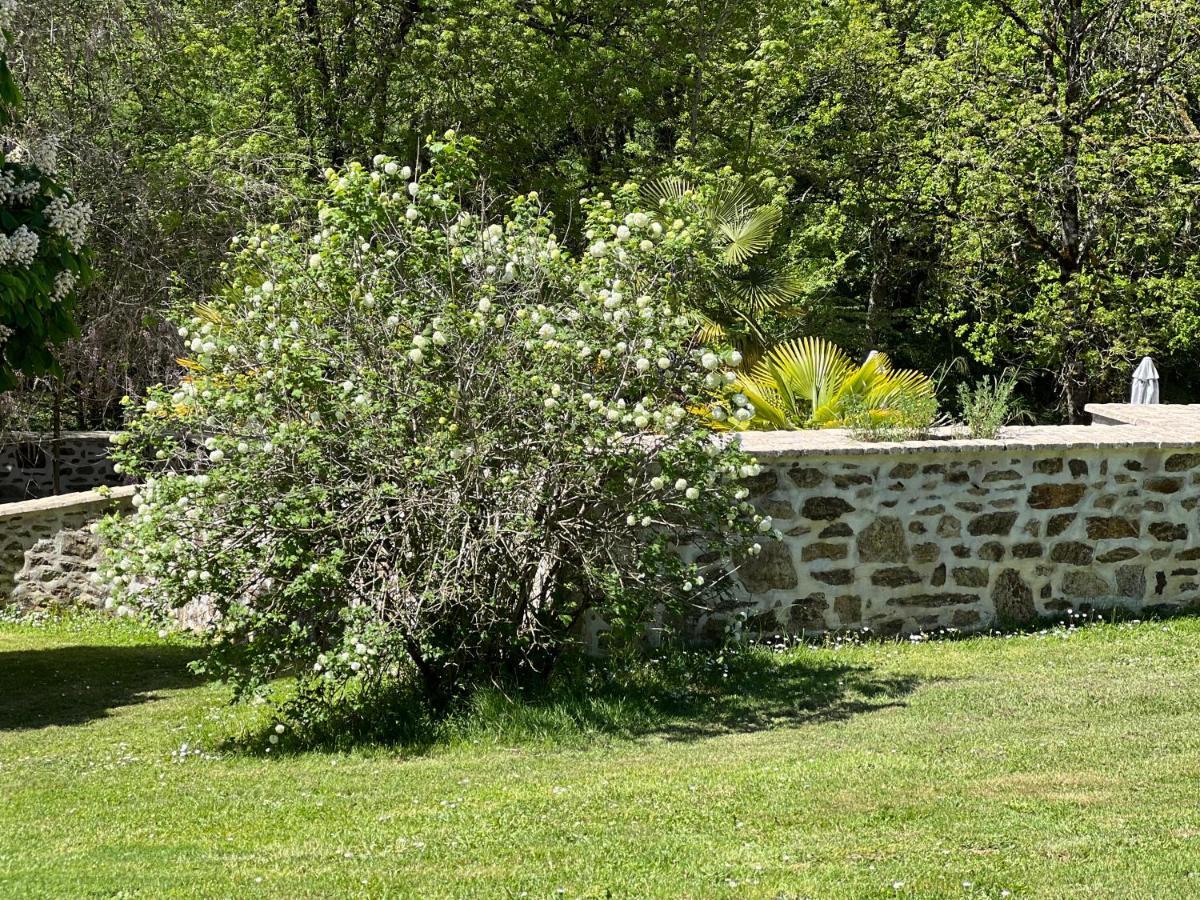 Domaine De Brise Bois - Chambres & Gites Rouzede Exterior photo